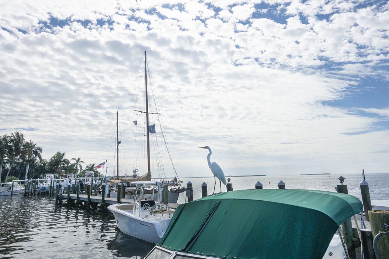 Boats docked at Cabbage Key. A white heron perched on a boat canopy overlooking a horizon of blue water met by a blue sky.